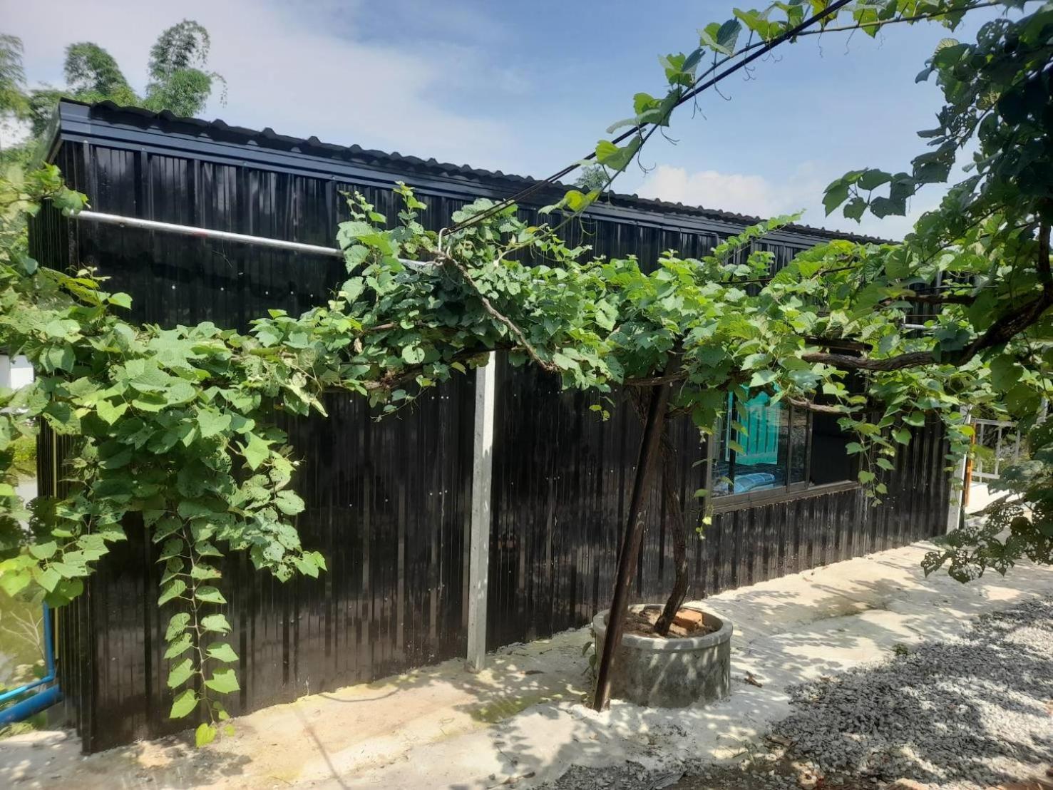 บ้านสวนปวิชญา เกษตรอินทรี Fang 외부 사진